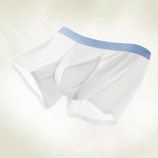 ❄️ Blijf de hele dag koel! Verkoelende herenboxershort - Ice Silk stof voor maximaal ademend vermogen