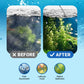 💥KOOP 2 KRIJG 1 GRATIS💥Aquariumwater Krachtige reiniger