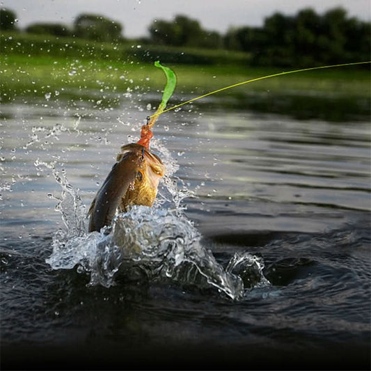 🔥Hot Sale 67% OFF🦈Super Durable Fishing Line