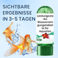 🚀Koop er 3 en ontvang er 5 gratis♻️💧Krachtige waterzuiveringstablet voor aquaria
