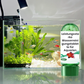 🚀Koop er 3 en ontvang er 5 gratis♻️💧Krachtige waterzuiveringstablet voor aquaria