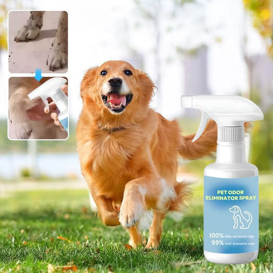 🐱🐶Spray voor het verwijderen van huisdiergeuren🍃