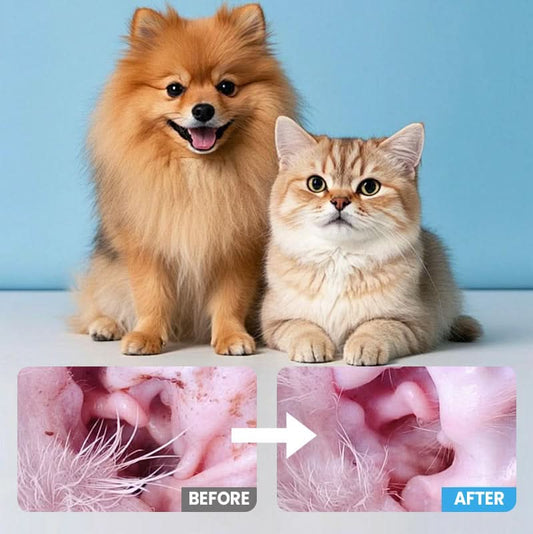 Tijdelijke aanbieding 🔥60% KORTING op reinigingsstaafjes voor honden en katten