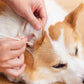 Tijdelijke aanbieding 🔥60% KORTING op reinigingsstaafjes voor honden en katten