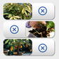 🌱Multi-Plant Vloeibare Reviver