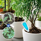 🌱Multi-Plant Vloeibare Reviver