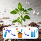 🌱Multi-Plant Vloeibare Reviver