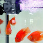 🌊 Aquarium Mini Wave Maker Watercirculatiepomp