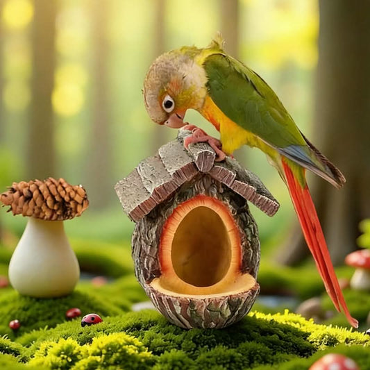 🔥50% KORTING! 🐦 NIEUWE AANWINSTEN 2026 – Vogelvoederhuisje voor buiten met realistisch boomstronkontwerp | Tuindecoratie & natuurreservaat in één! 🌿✨