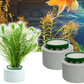 Ringenset voor het vasthouden van waterplanten