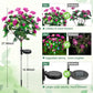 Simulatie Azalea Bloem Grondsteek Zonneverlichting