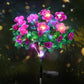 Simulatie Azalea Bloem Grondsteek Zonneverlichting