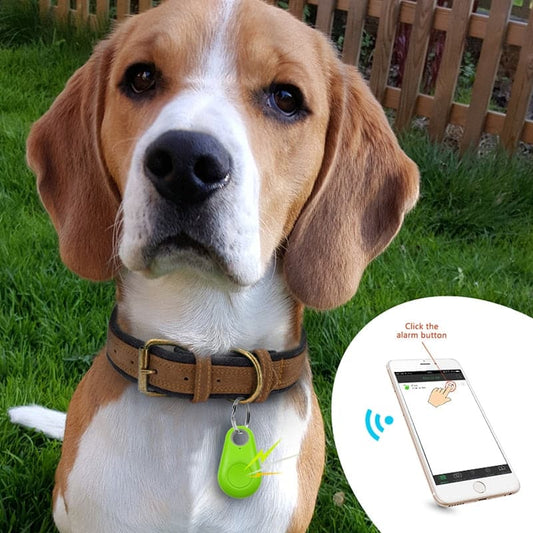 Pet Tracker™ | Verlies nooit meer je geliefde huisdier