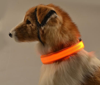 Collier LED rechargeable USB pour chien